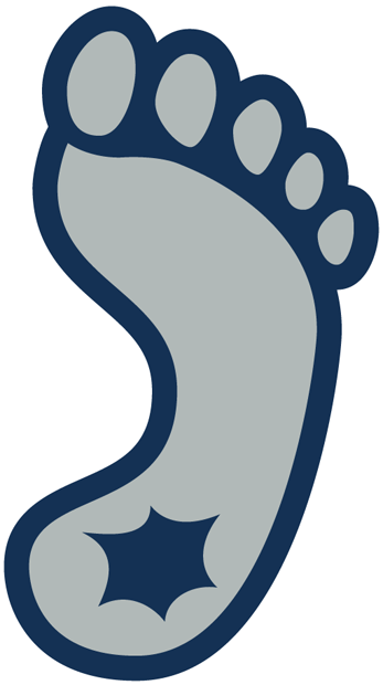 North Carolina Tar Heels 1999-2014 Alternate Logo v3 DIY iron on transfer (heat transfer)